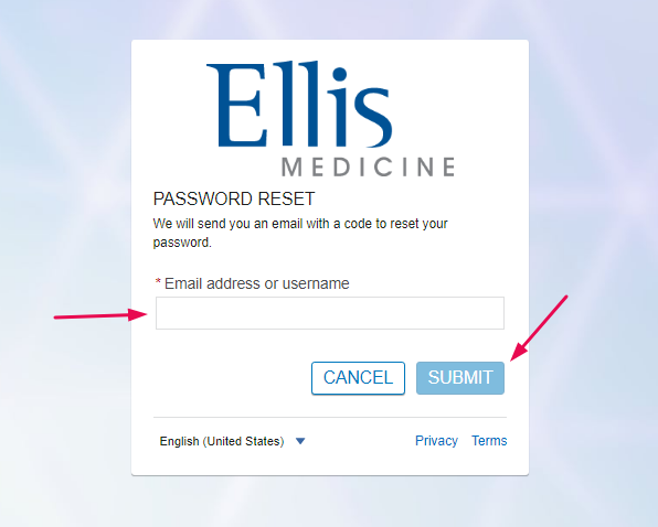 Ellis Hospital Patient Portal