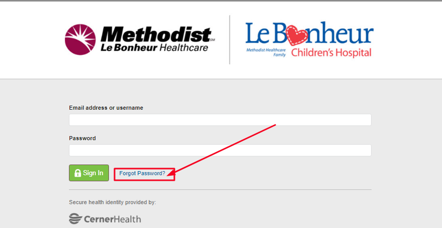 Lebonheur Patient Portal