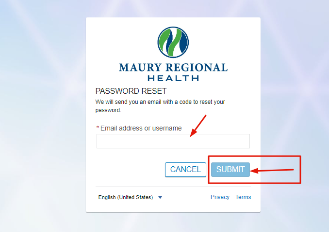 Maury Regional Patient Portal