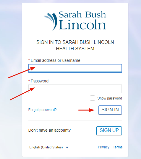 Sarah Bush Patient Portal