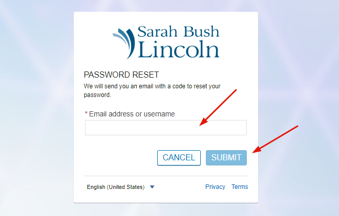 Sarah Bush Patient Portal