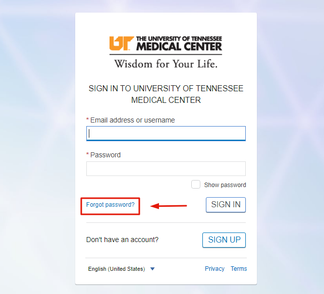 UT Medical Center Patient Portal