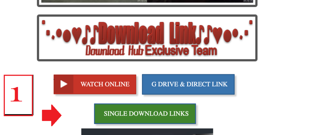 Download Movies from Downloadhub 