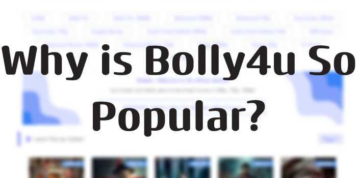 Why is Bolly4u So Popular?