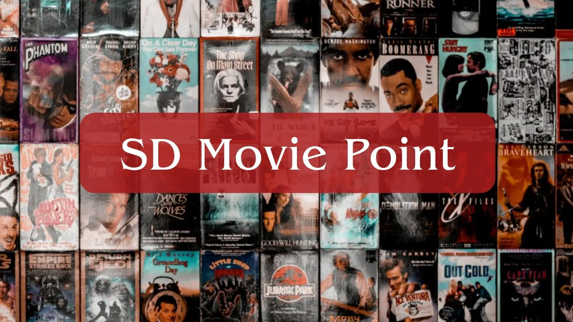 SD Movie Point