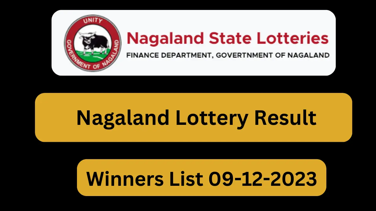 Nagaland Lottery Result 4